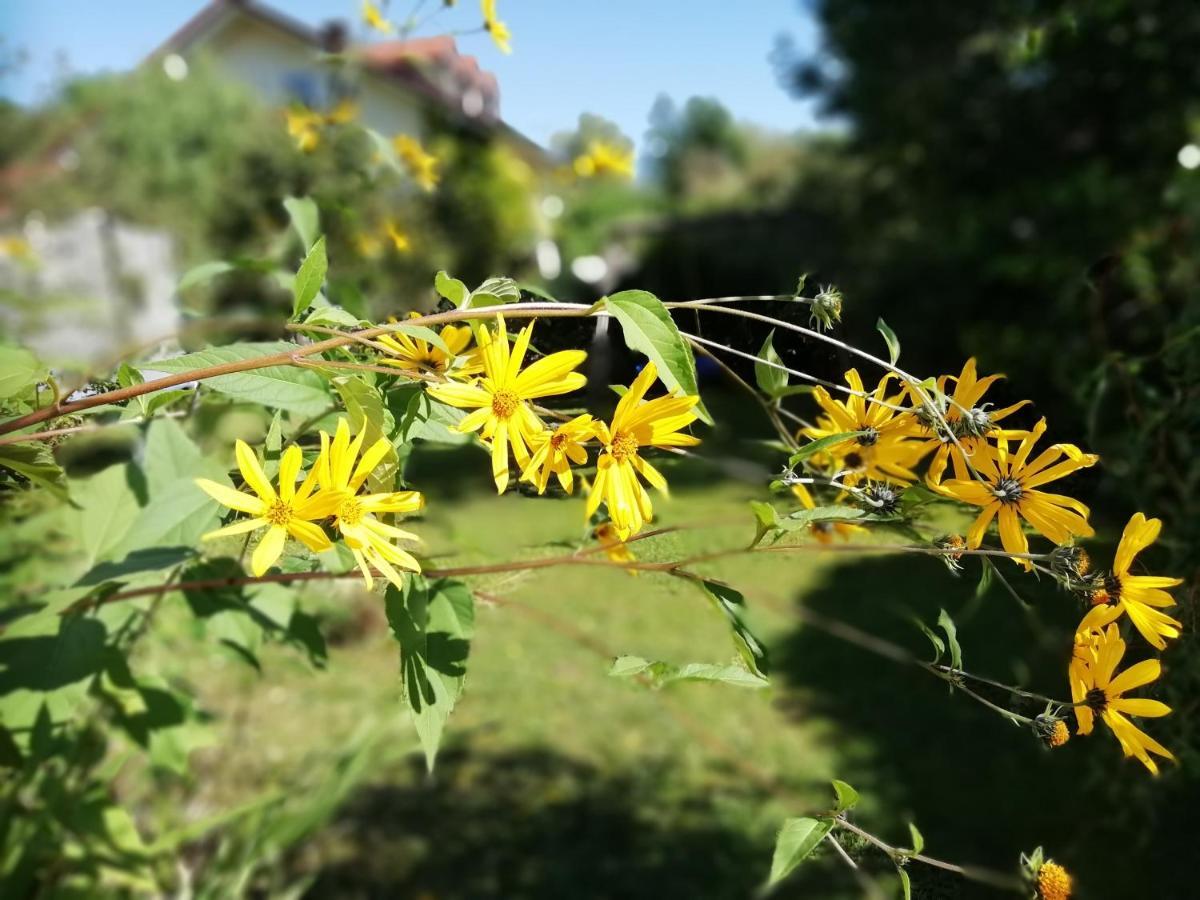 Fewo Happy Place In Traumhafter Lage See Nah Utting am Ammersee Kültér fotó